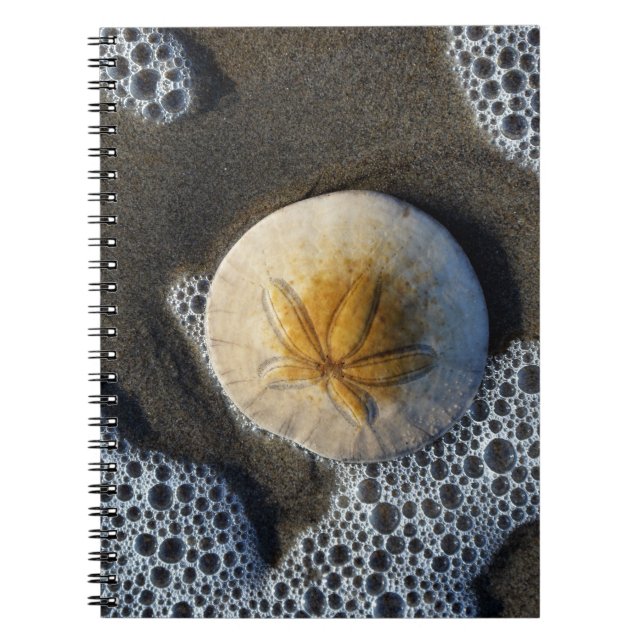 Caderno Espiral Notebook Sand Dollar e Surf Beach Photo Spiral (Frente)