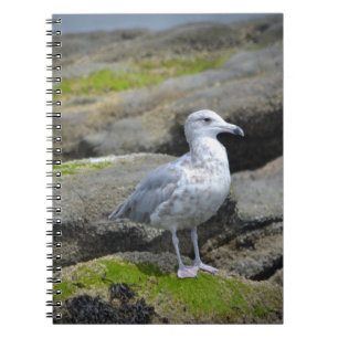 Caderno Espiral Notebook Seagull