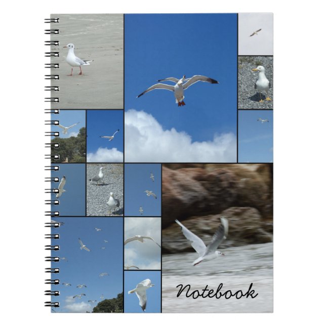Caderno Espiral Notebook Seagulls (Frente)