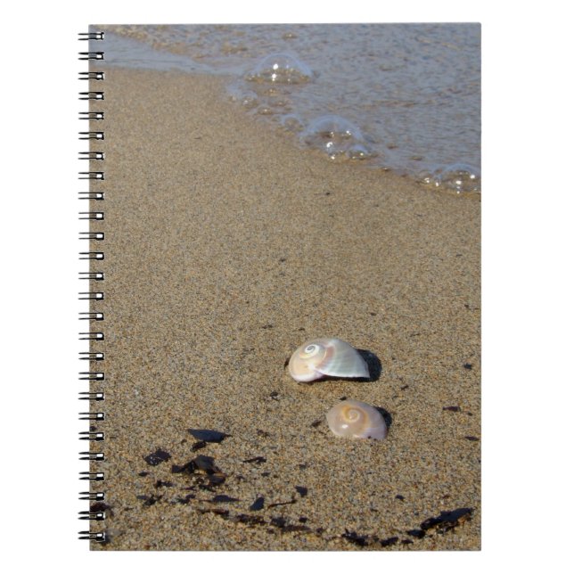 Caderno Espiral Notebook Seashore Seashell (Frente)