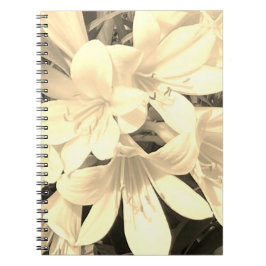 Caderno Espiral Notebook Sepia Blooms
