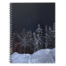 Notebook Serene Blue Winter Forest Spiral
