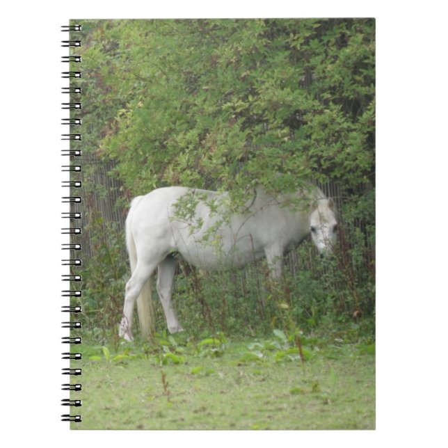 Caderno Espiral Notebook Shy White Horse (Frente)