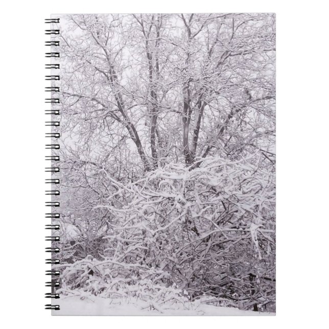Caderno Espiral Notebook Snowy Scene (Frente)