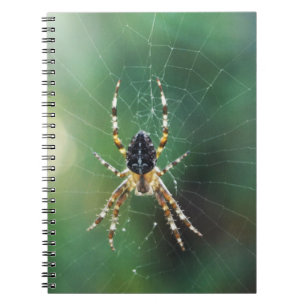 Caderno Espiral Notebook Spider Spider (80 Páginas B&W)