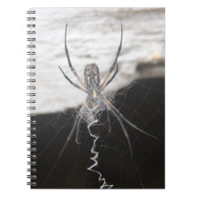 Notebook Spider Spiral