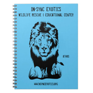 Caderno Espiral Notebook Spiral