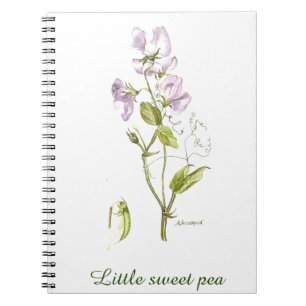 Caderno Espiral Notebook Spiral