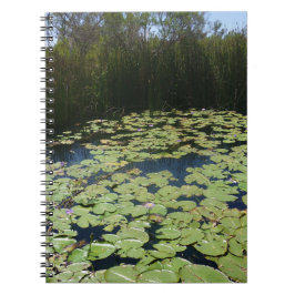 Caderno Espiral Notebook Spiral da Outback Lily Pads