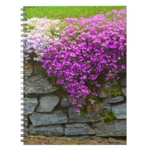 Caderno Espiral Notebook Stone Wall & Phlox