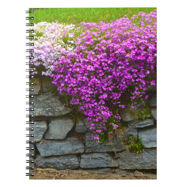 Caderno Espiral Notebook Stone Wall & Phlox (Frente)