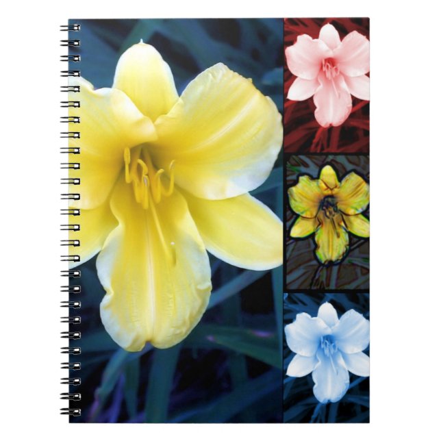 Caderno Espiral Notebook Summer Lilly (Frente)