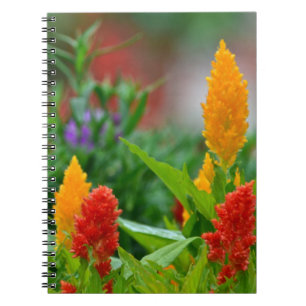 Caderno Espiral Notebook Sun Color Flower