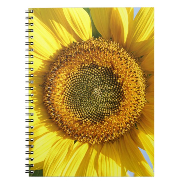 Caderno Espiral Notebook Sunflower (Frente)