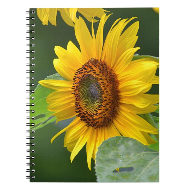Caderno Espiral Notebook Sunflower (Frente)