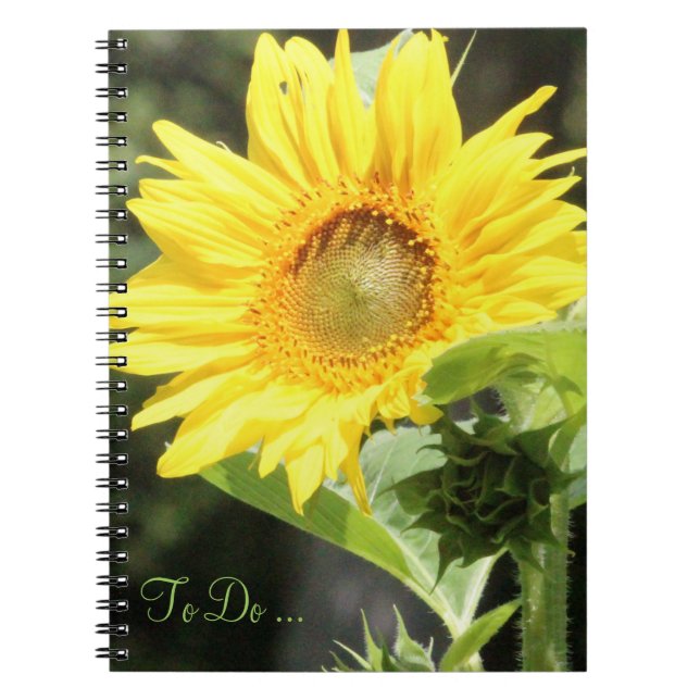 Caderno Espiral Notebook Sunflower (Frente)