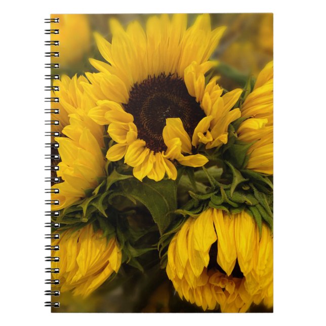 Caderno Espiral Notebook Sunflower Blur (Frente)