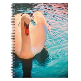 Caderno Espiral Notebook Swan