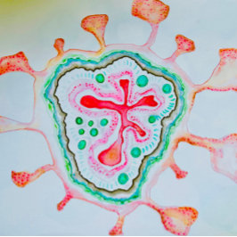 Caderno Espiral Notebook Swirly Hearts