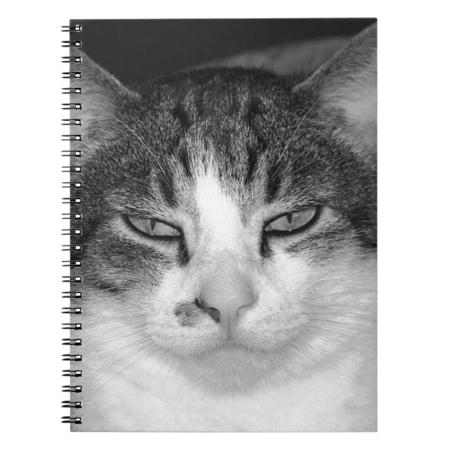 Caderno Espiral Notebook Tabby-and-White (Frente)