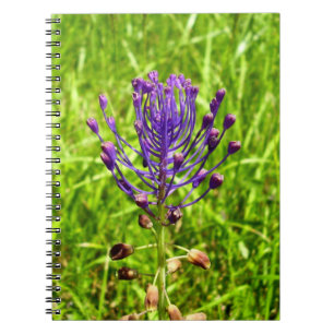 Caderno Espiral Notebook Tassel-Hyacinth Spiral