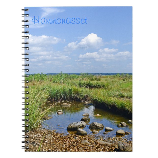 Caderno Espiral Notebook Tidepool (Frente)