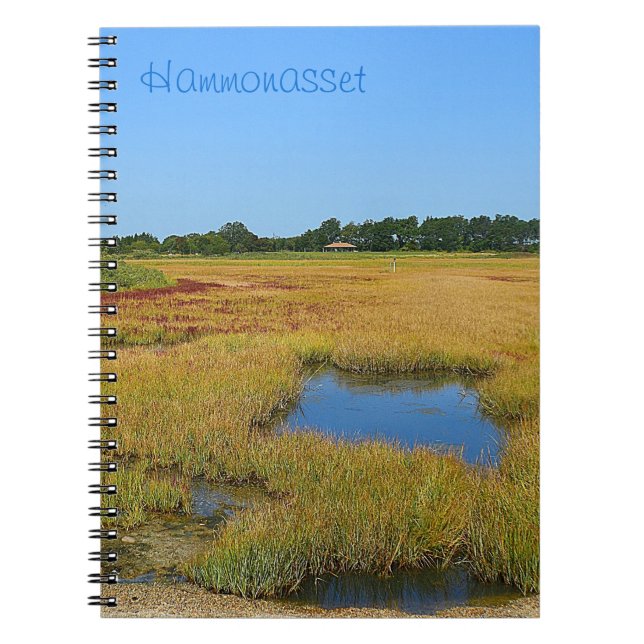 Caderno Espiral Notebook Tidepool Marsh (Frente)
