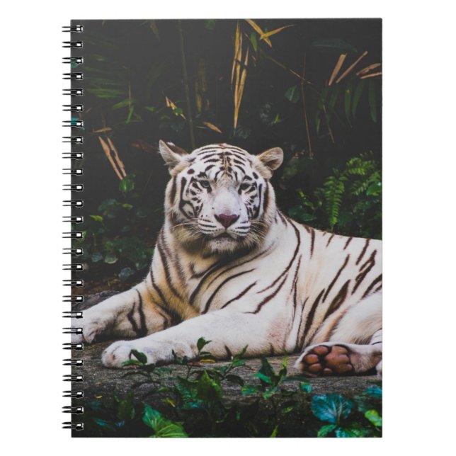 Caderno Espiral Notebook Tiger (Frente)