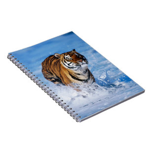 Caderno Espiral Notebook-Tiger