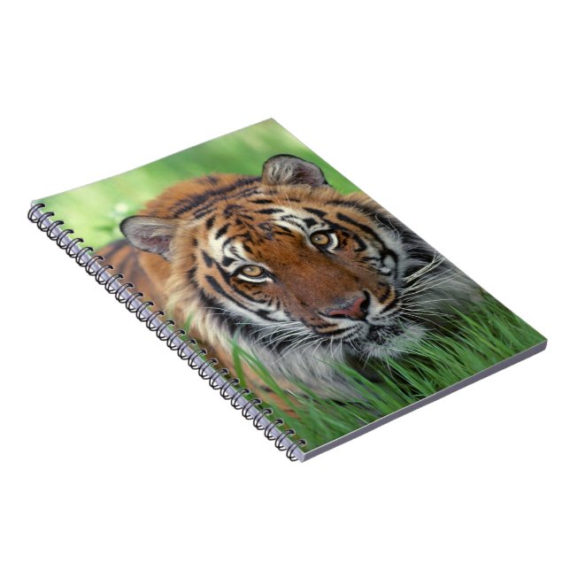 Caderno Espiral Notebook-Tiger (Lado Direito)