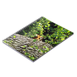 Caderno Espiral Notebook Tiger Peek-a-boo