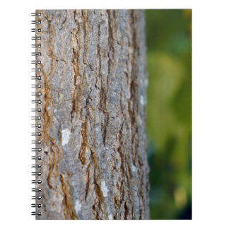 Caderno Espiral Notebook Tree ic runk Photo Spiral