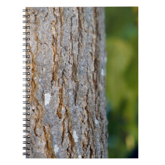 Caderno Espiral Notebook Tree ic runk Photo Spiral (Frente)
