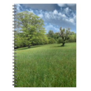 Caderno Espiral Notebook Verde Appalachian