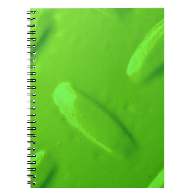 Caderno Espiral Notebook Verde Diamondplate (Frente)