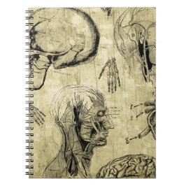 Caderno Espiral Notebook Vintage Human Anatomy