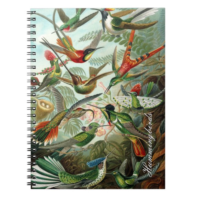Caderno Espiral Notebook Vintage Hummingbird (Frente)
