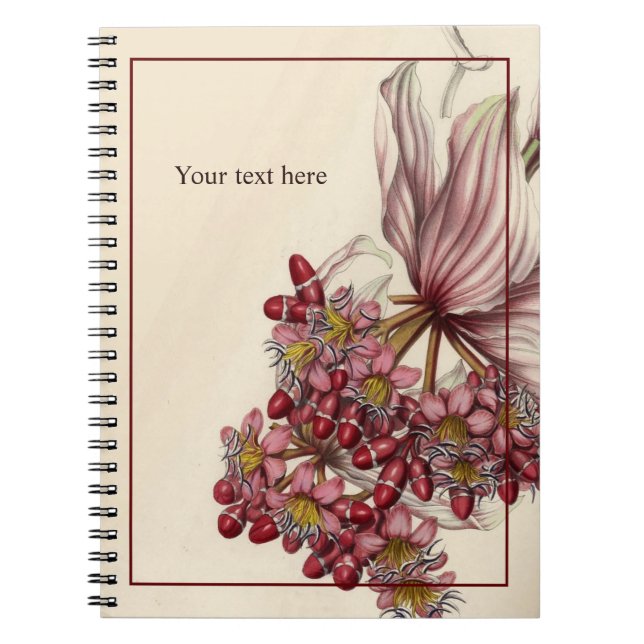Caderno Espiral Notebook Vintage Medinilla Magnifica (Frente)
