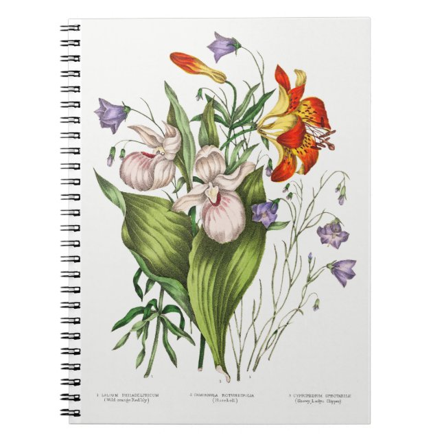 Caderno Espiral Notebook Vintage Wildflower (Frente)
