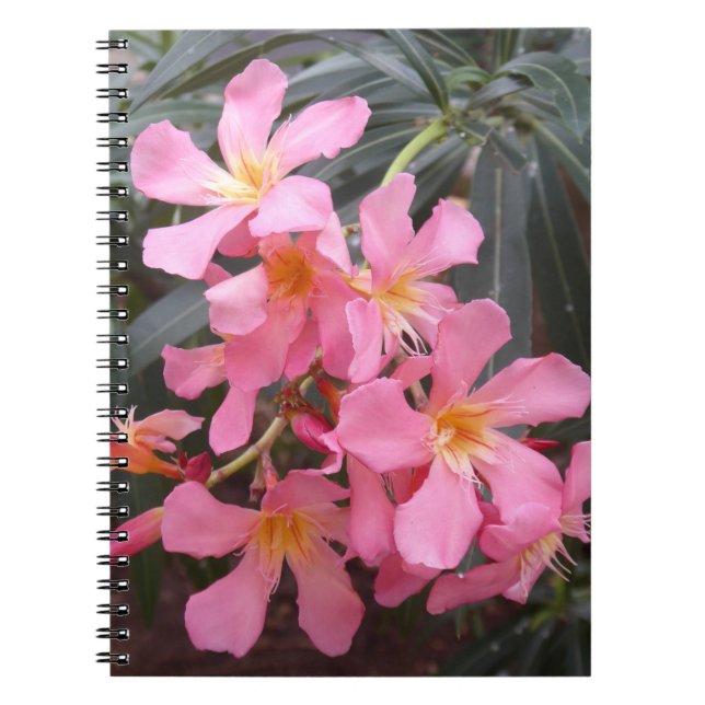 Caderno Espiral Notebook Vivid Pink Flowian Foto Espiral (Frente)