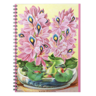Caderno Espiral Notebook VTG Água Botânica Hyacinth Espiral