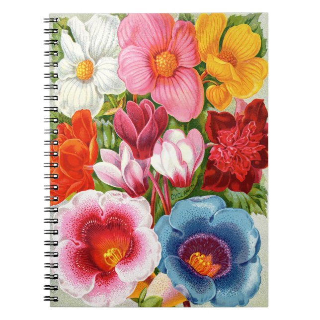 Caderno Espiral Notebook VTG Botânico Begonias e Gloxinias Espirai (Frente)