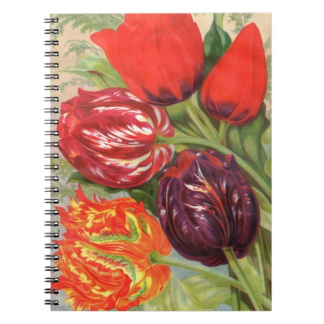 Caderno Espiral Notebook VTG Botânico Tulips (Frente)