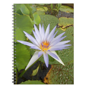 Caderno Espiral Notebook Water Lily