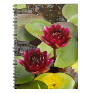 Caderno Espiral Notebook Water Lily