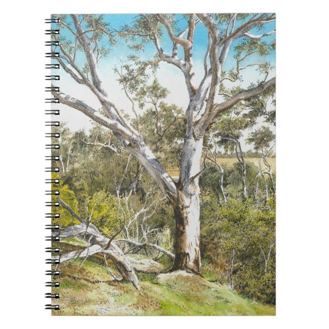Caderno Espiral Notebook - "Werribee River Gum" (Frente)