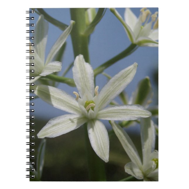 Caderno Espiral Notebook White Flowers (Frente)