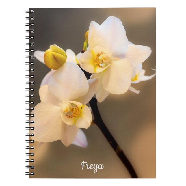 Caderno Espiral Notebook White Orchid Spiral (Frente)