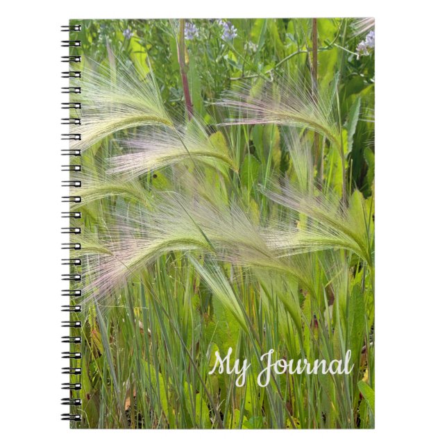 Caderno Espiral Notebook Wispy Green Prairie Grass (Frente)