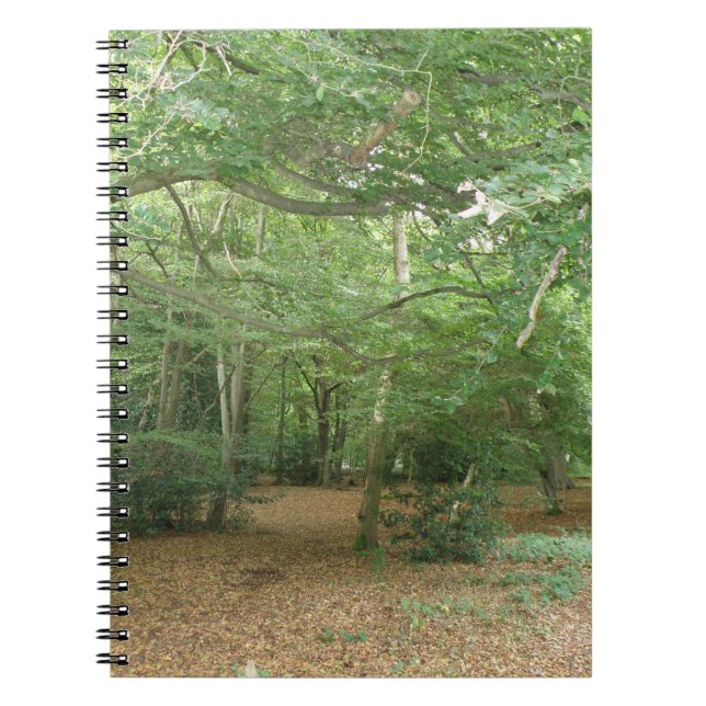 Caderno Espiral Notebook Woodland Clearing (Frente)